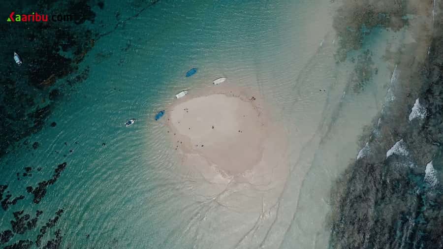 Diani Beach: Glass-Bottom Boat Cruise to Robinson Island - Practical booking advice before you go