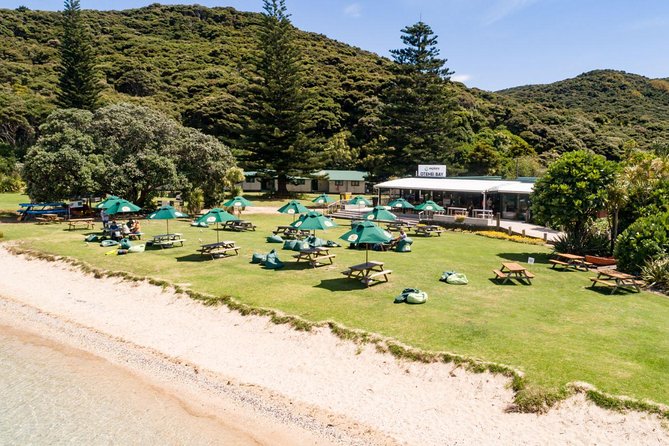 Discover the Bay - Hole in the Rock cruise includes Island Lunch - Cape Brett and the Hole in the Rock