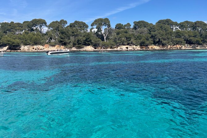 Discover the Lérins Islands and the Bay of Cannes by Private Boat - Returning along the Croisette