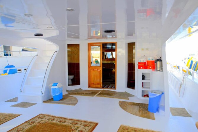 Diving And Snorkeling To Ras Mohamed And White Island By VIP Boat - White Island and its shallow-water walk
