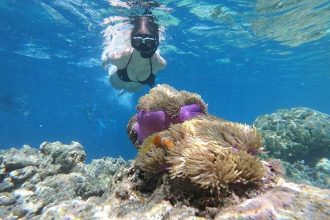 Diving And Snorkeling To Ras Mohamed And White Island By VIP Boat - Two water stops, with different strengths