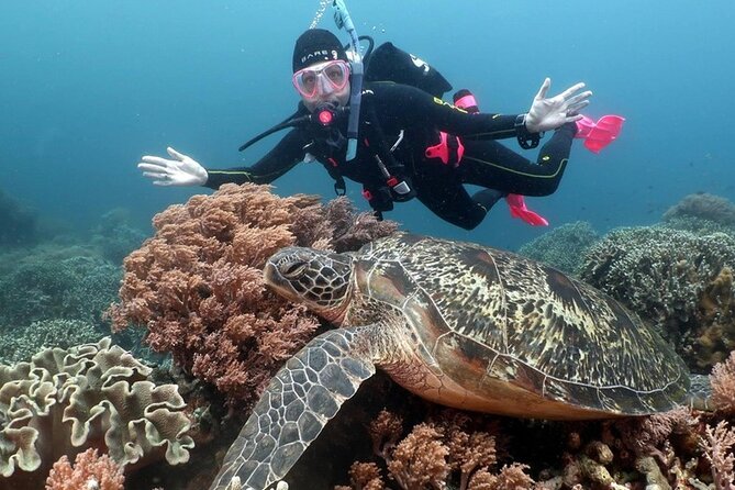 Diving And Snorkeling To Ras Mohamed And White Island By VIP Boat - Lunch on deck and drinks through the day