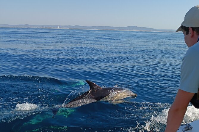 Dolphin Watching + 2 Islands Tour - From Faro - From Faro to Cabo de Santa Maria
