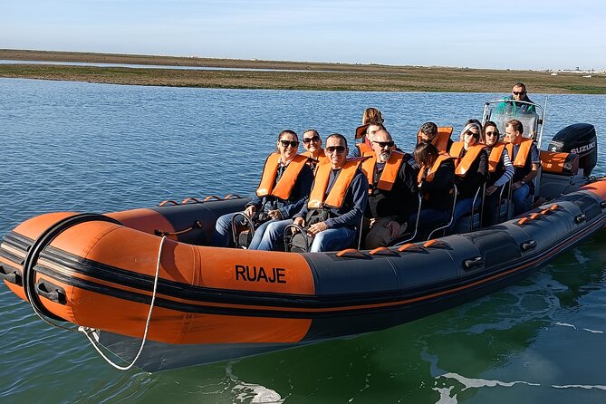 Dolphin Watching + 2 Islands Tour - From Faro - What the small boat changes