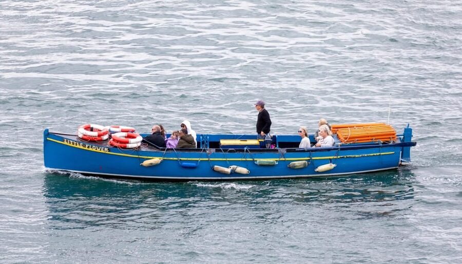 Dublin: Ferry from Howth to Ireland's Eye island - Walking, swimming, and the Martello tower