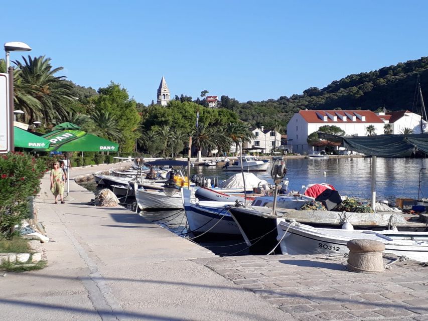 Dubrovnik: All-inclusive Islands and Caves Private Boat Tour - Lopud and Šunj Beach for sand, shade, and a longer pause