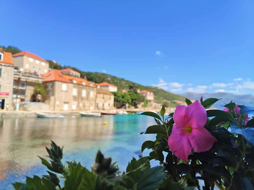 Dubrovnik: Blue Cave & Elaphiti Islands Full-Day Boat Tour - What is included, and what you still need to plan