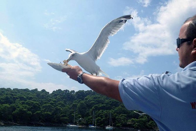 Dubrovnik Elafiti Islands Cruise with Lunch, Drinks and Pickup - Is the $71.35 price good value?