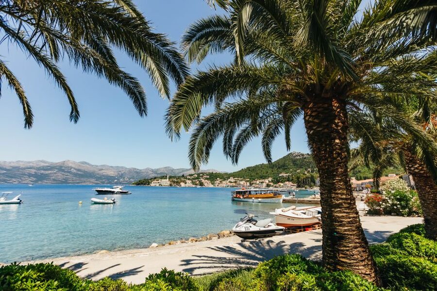 Dubrovnik: Elaphite Island Cruise w/ Drinks & Optional Lunch - Koločep: a final swim among pines