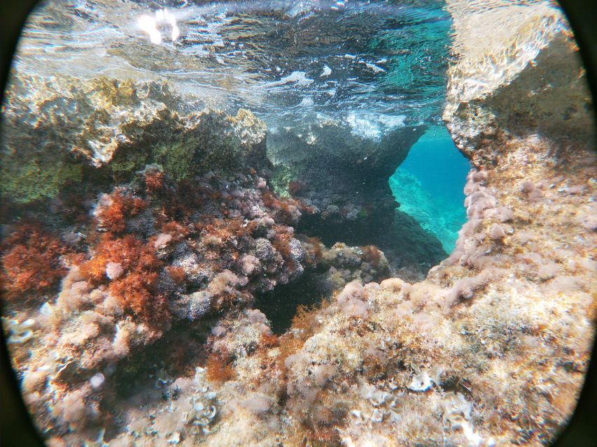Dubrovnik: Half-Day Private Boat Trip to Elafiti Islands - What the Cave Stops Are Really Like