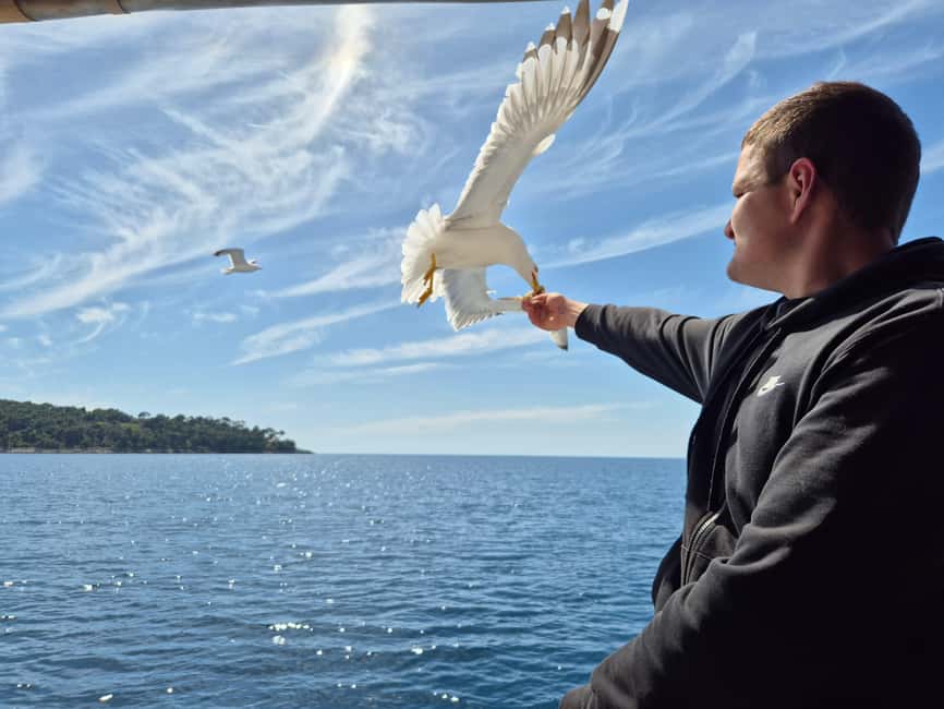 Dubrovnik: Island Boat Tour with Drinks & Lunch - Starting at Gruž near the Green Market
