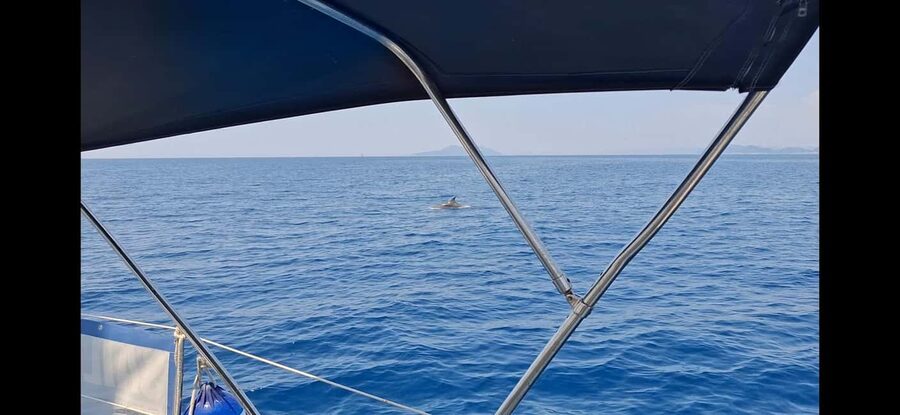 Dubrovnik yacht cruise-Elafity islands & Blue cave - Kolocep’s Blue Cave and the first swim