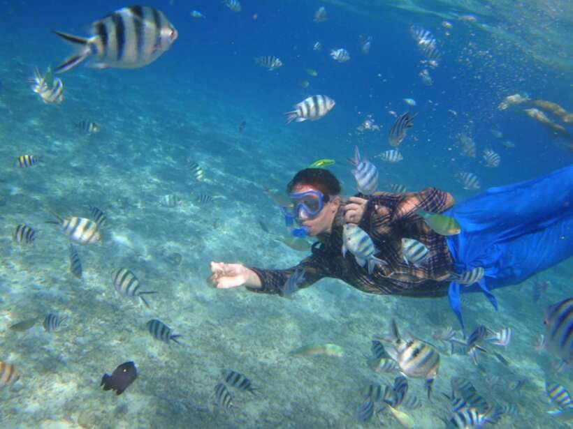 El Nido: Island Hopping Tour A Lagoons and Beaches - Shared boat or private boat?