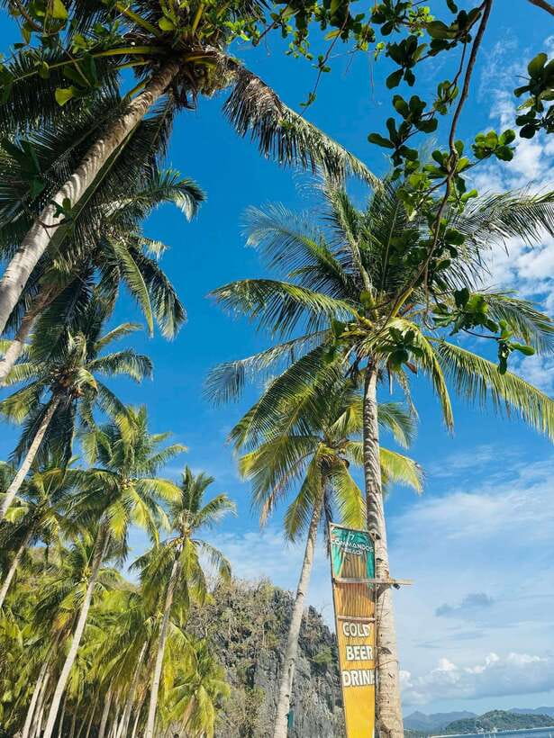 El Nido: Island Hopping TOUR A with Lunch, Transfer & EDTF - Who will enjoy this day most