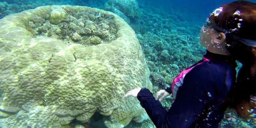 El Nido: Island Hopping Tour B Cudognong Cave & More - What to bring for a smoother day