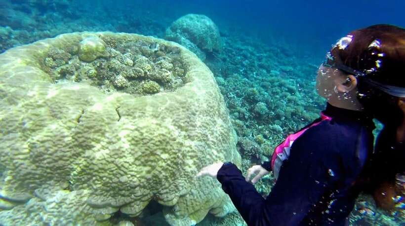 El Nido: Island Hopping Tour B Cudognong Cave & More - Snake Island and its changing sandbar