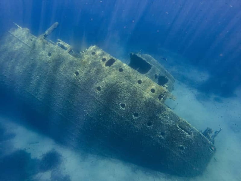 Elba Island: a boat trip to the Elviscot wreck - Cavoli Bay and the first swim