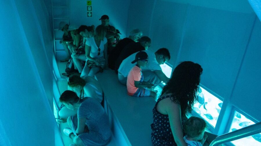 Explore the Medes Islands & Discover the Magic of Estartit! - Group size, comfort, and practical expectations