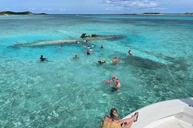 Exuma Island Hopping Swimming Pigs Tour with Lunch from Nassau - Allen Cay and its rare rock iguanas