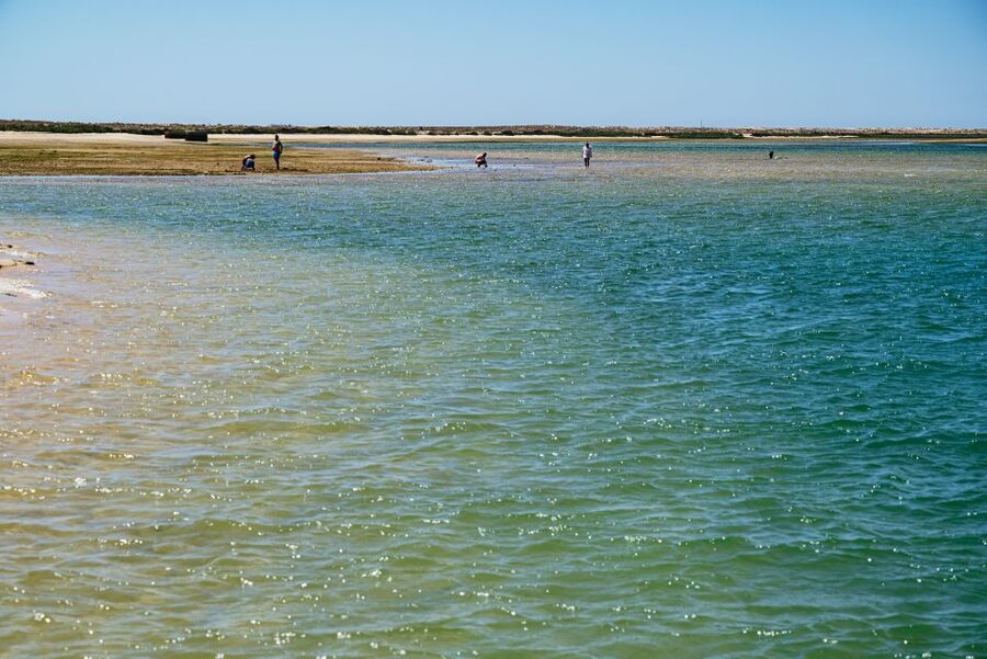 Faro: Deserta Island and Farol Island Catamaran Boat Trip - Is $47 good value for three hours?