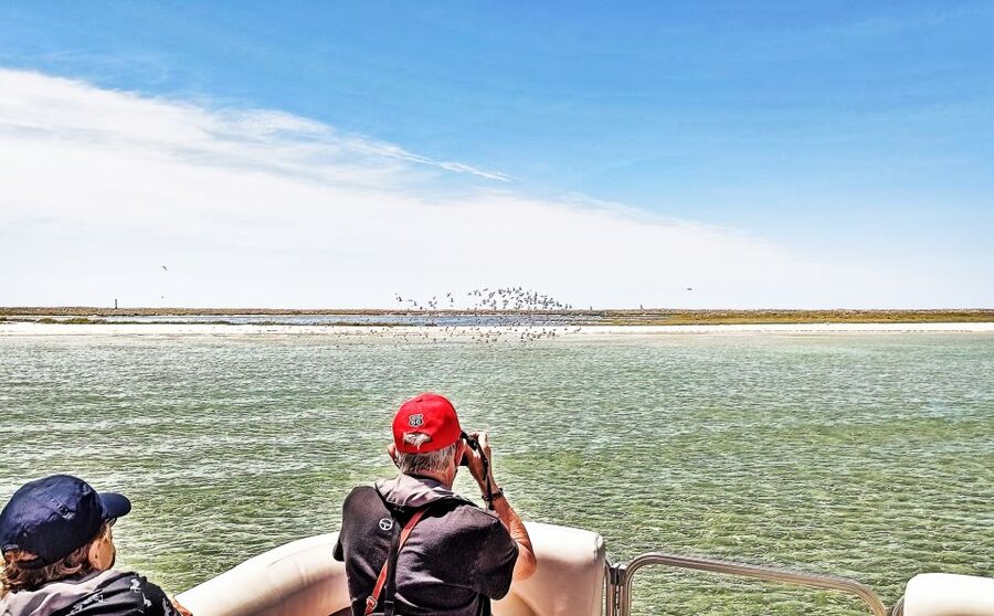 Faro: Ria Formosa Faro Islands Boat Tour - Is $47 good value?