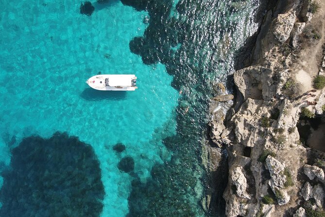 Favignana and Levanzo, Egadi islands tour by boat from Trapani - What the captain adds to the experience