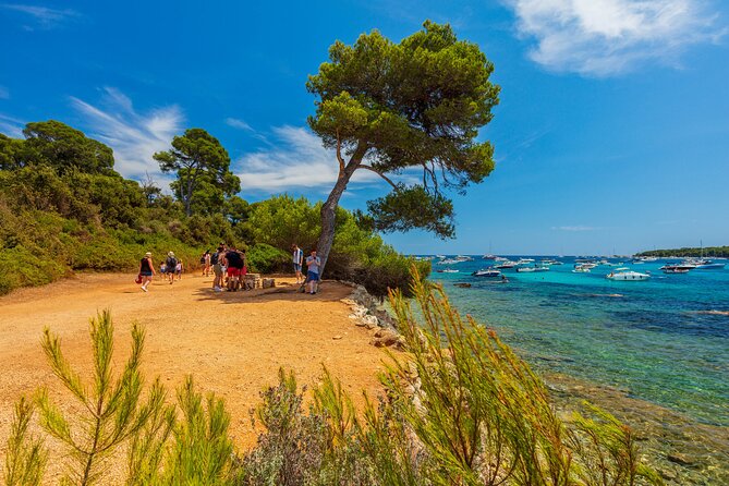 Ferry from Cannes to the island Ste Marguerite - Food, drinks, and seasonal island services