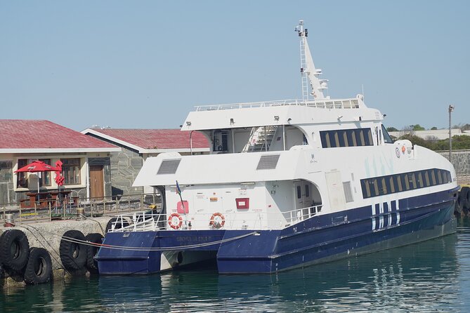 Ferry Tour to Robben Island Museum with One Way Hotel Transfer - The ferry across Table Bay