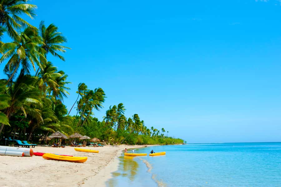 Fiji: Cultural Island Adventure & Jungle Cruise Experience - Coconut climbing and a hermit crab race