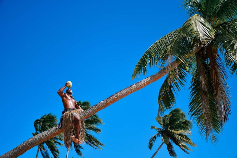 Fiji: Full Day Cultural Island Tour with Lunch & Cruise - Watching the lovo come out of the ground