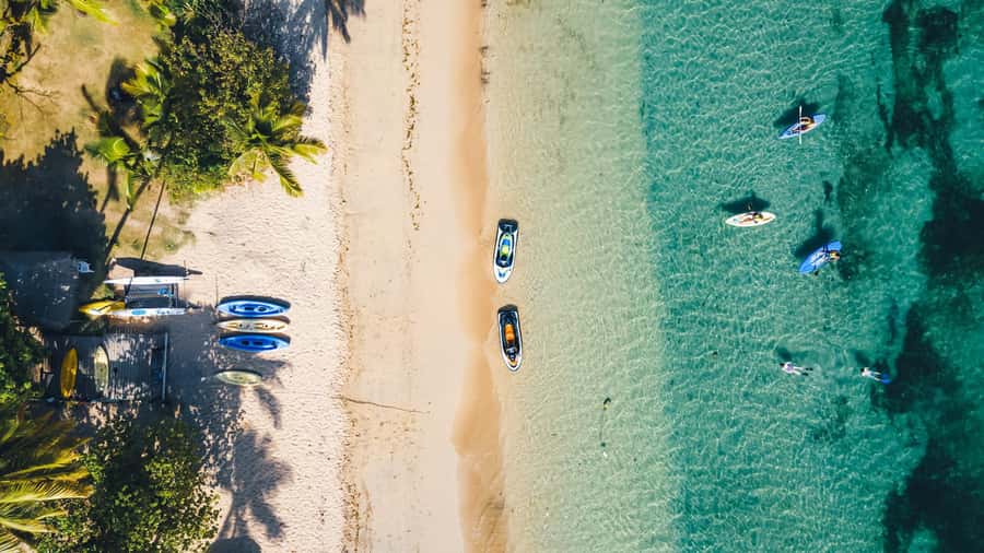 Fiji: Half-Day Island Activities Tour with Jungle Cruise - Starting with hotel pickup across Fiji’s resort belt