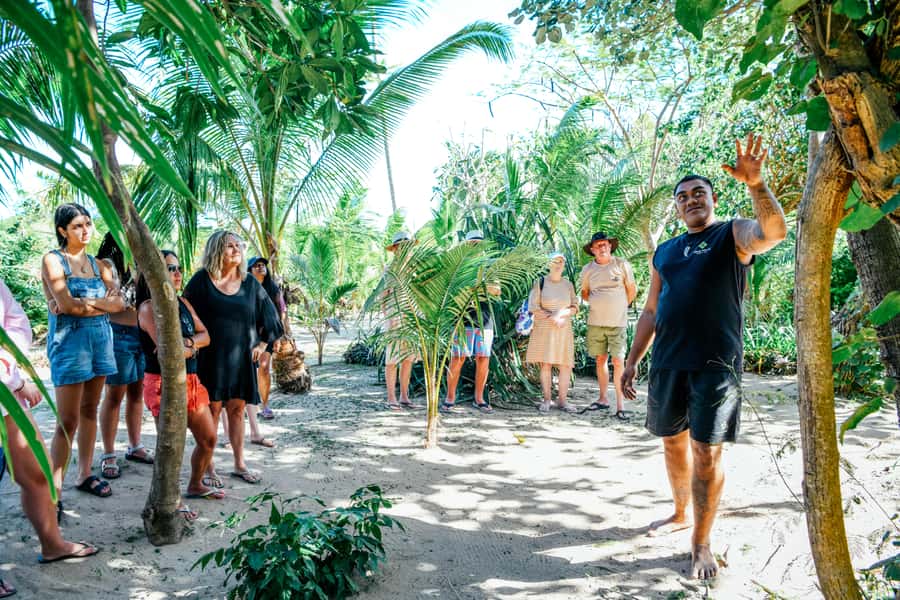 Fiji: Half-Day Island Activities Tour with Jungle Cruise - Lunch and the question of value