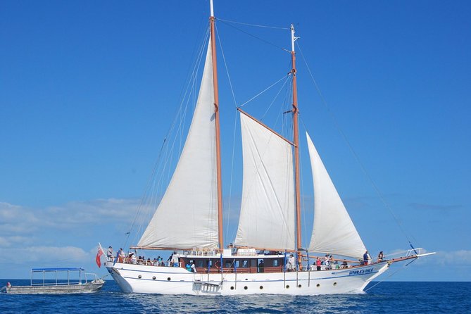 Fijian Islands and Snorkel Full-Day Whales Tale Cruise including Beach BBQ Lunch - Key details before you book