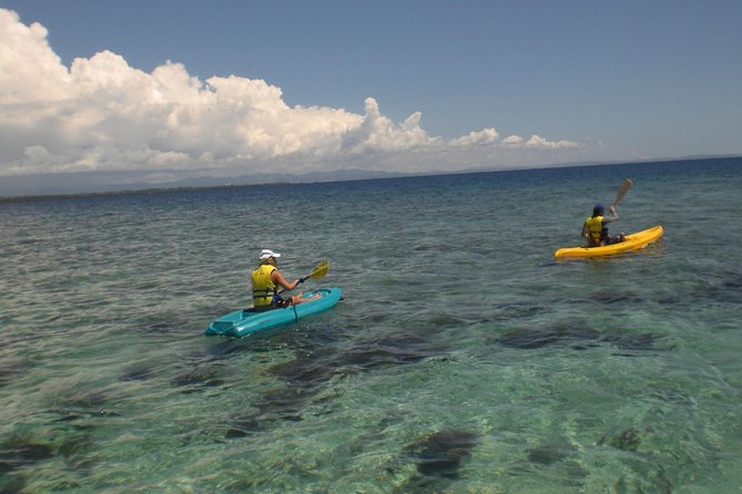 Fijian Islands and Snorkel Full-Day Whales Tale Cruise including Beach BBQ Lunch - Snorkel Island and its small-island appeal