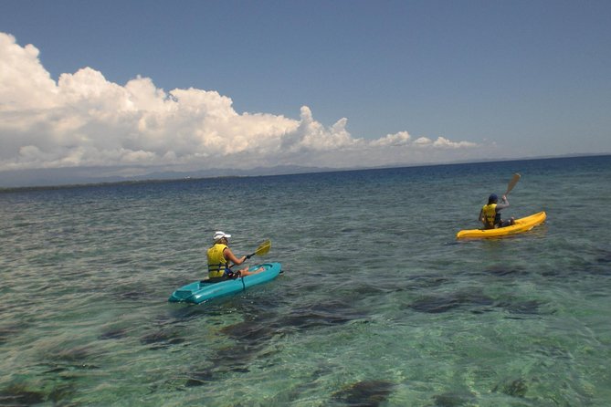 Fijian Islands and Snorkel Full-Day Whales Tale Cruise including Beach BBQ Lunch - Is $117.68 good value?