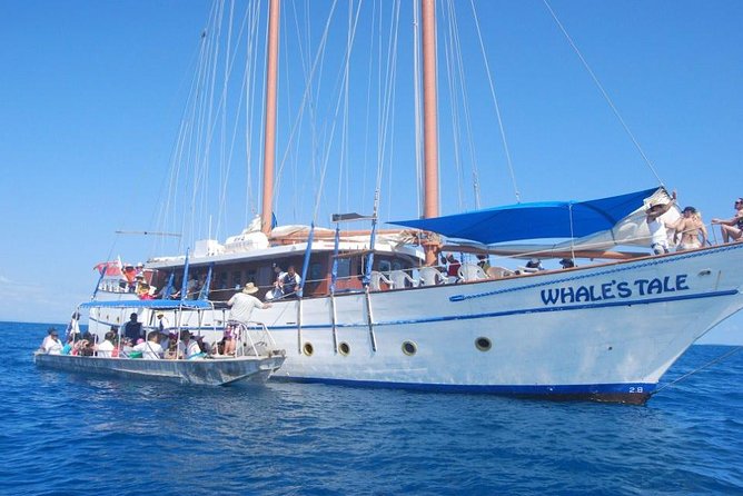 Fijian Islands and Snorkel Full-Day Whales Tale Cruise including Beach BBQ Lunch - Champagne breakfast on the way out