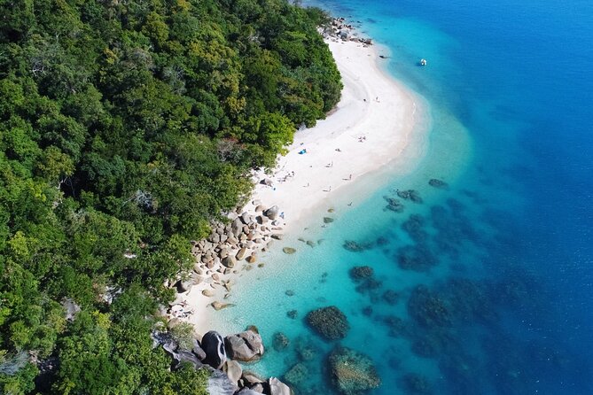 Fitzroy Island Day Trip 11am to 5pm Ferry INC Snorkel Equipment - Snorkeling for turtles, fish, and coral