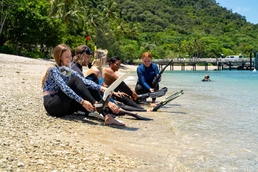 Fitzroy Island: Full-Day Ferry & Snorkel Safari Guided Tour - Five hours to choose your own island day