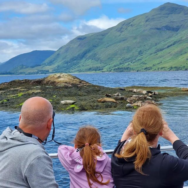 Fort William: Seal Island Boat Tour - The return route and the 360-degree view