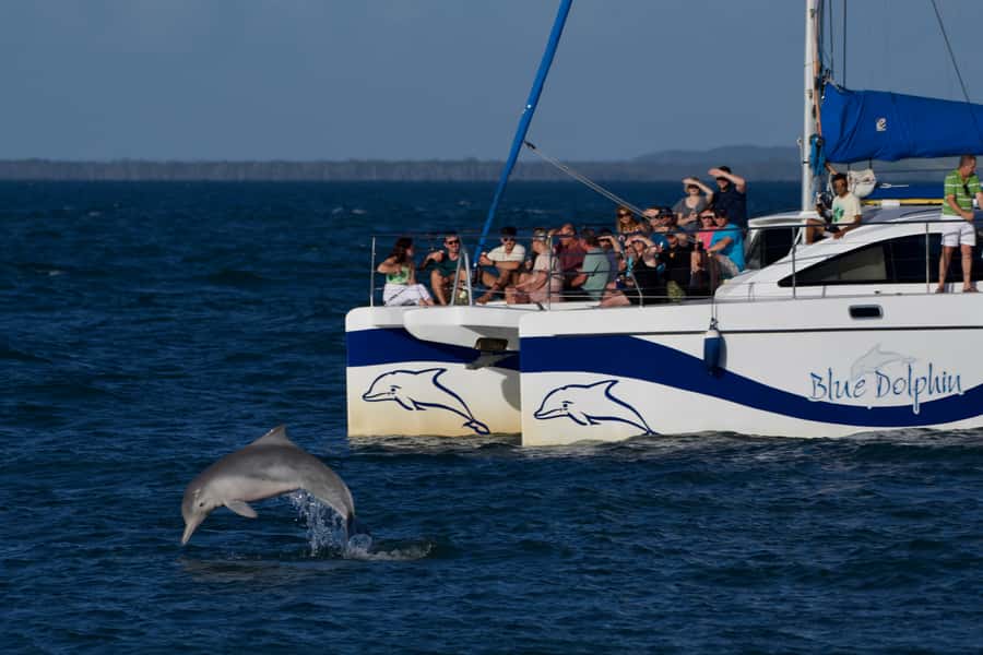 Fraser Island 4-Hour Eco-Sailing Adventure - Who should book this cruise
