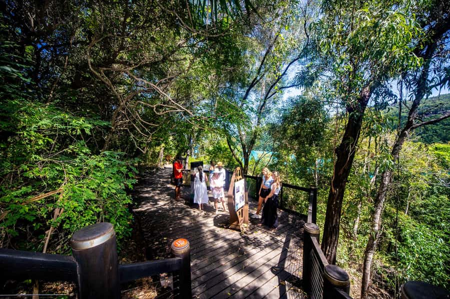 From Airlie Beach: Hook Island Cultural Tour, Sail & Snorkel - What the $180 price really covers