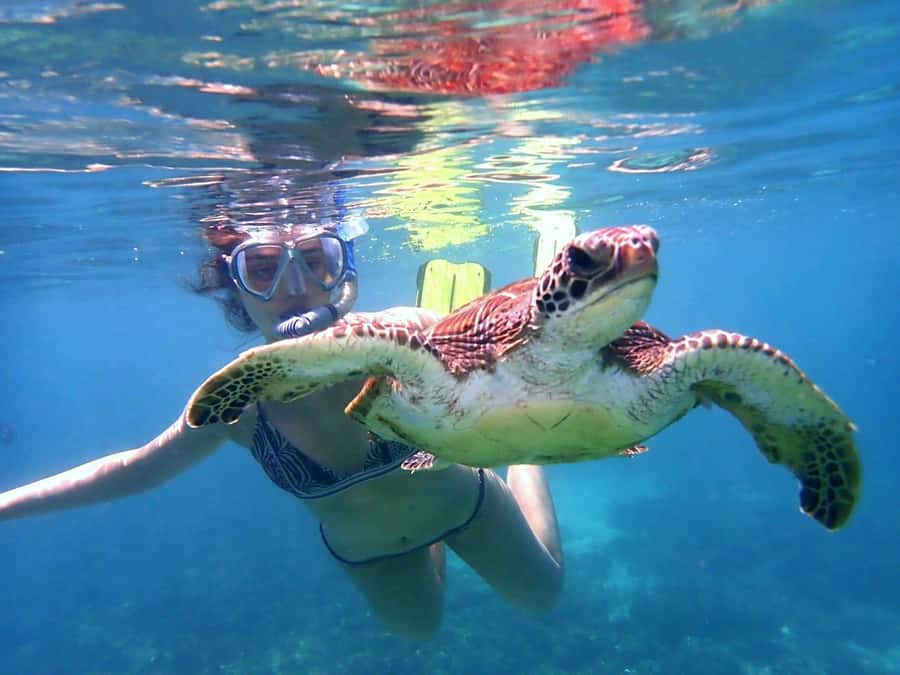From Al-Seeb: Dimaniyat Islands Boat Trip with Snorkeling - The price: fair value for a half-day on the water
