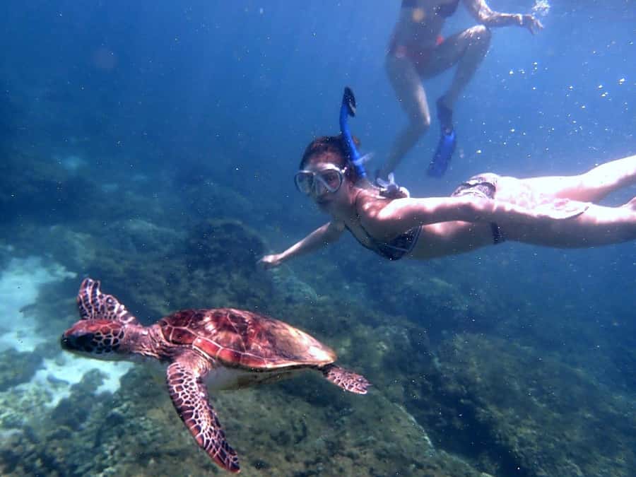 From Al-Seeb: Dimaniyat Islands Boat Trip with Snorkeling - Seasickness, swimming ability, and what to pack