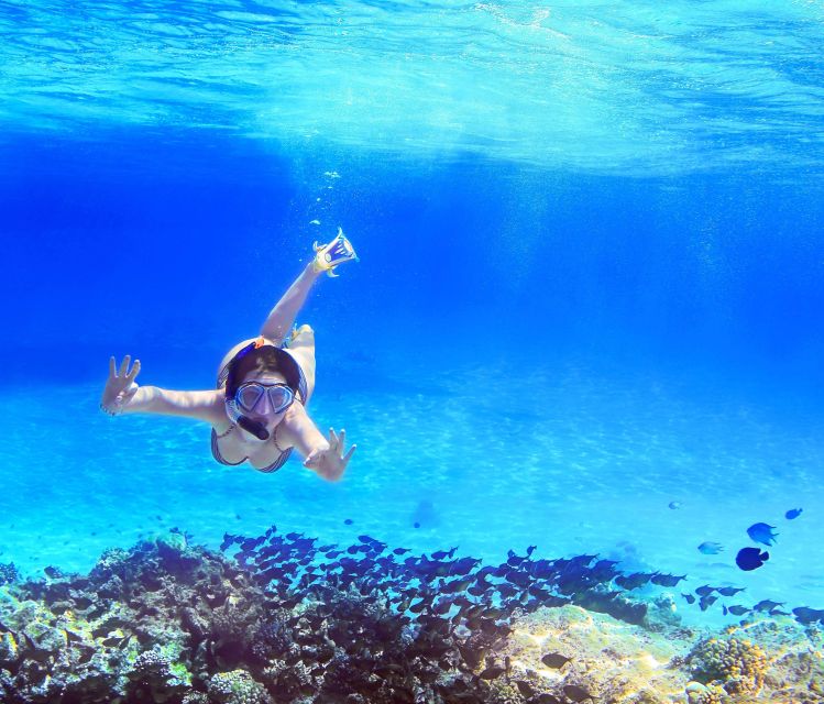 From Amalfi: Capri Island Boat Tour with Snorkeling & Drinks - Conca dei Marini brings the first swim and aperitif