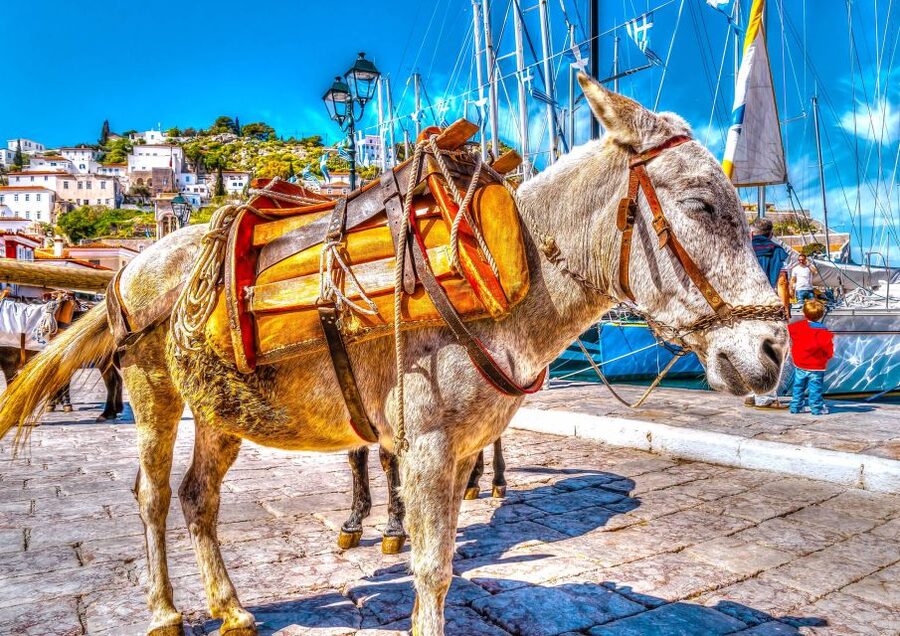 From Athens: Saronic Islands Full-Day Cruise with VIP Seats - Is the VIP upgrade worth it?