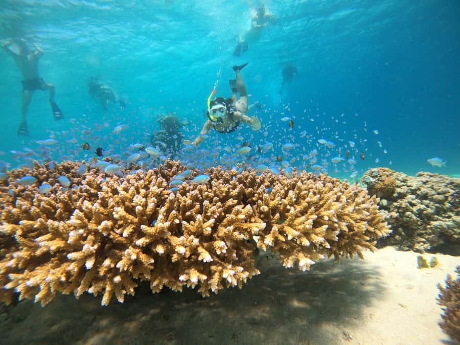 From Bali: 2D1N Gili Island Private Snorkel Boat with Hotel - Key points at a glance