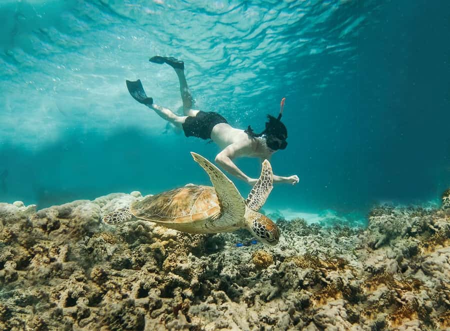 From Bali: 2D1N Gili Island Private Snorkel Boat with Hotel - Free time before the boat back to Bali