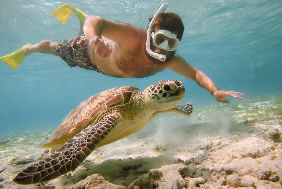 From Bali: 2D1N Gili Island Private Snorkel Boat with Hotel - Reaching Padang Bai before the boats leave