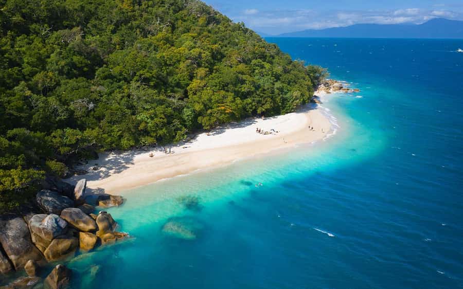 From Cairns: Fitzroy Island Day Trip by Ferry - The 8:00 AM ferry from Cairns