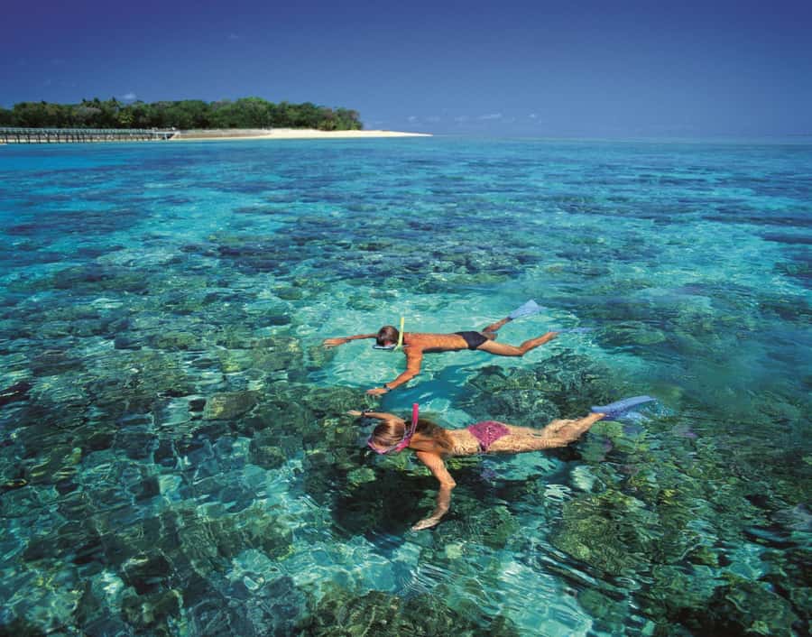 From Cairns: Full-Day Green Island Cruise - A relaxed route from Cairns to Green Island